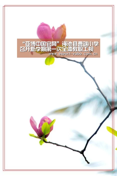 “亚博中国官网”渑池县曹端小学召开新学期第一次全体教职工视频会议