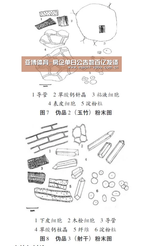 亚博官网