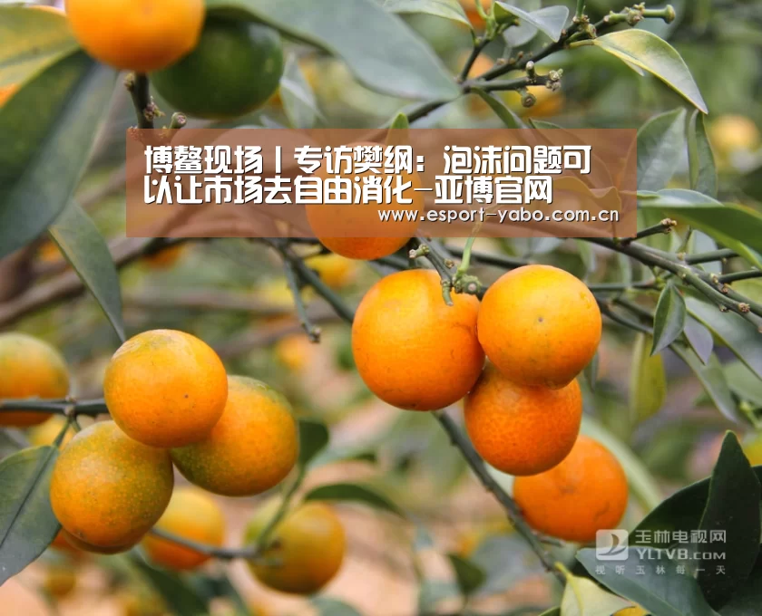 亚博官网