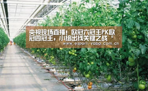 亚博app